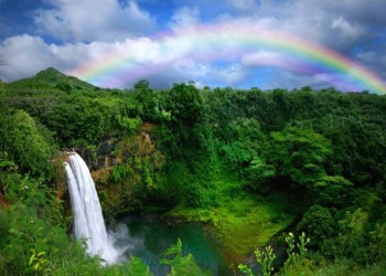 Nature & Wellness